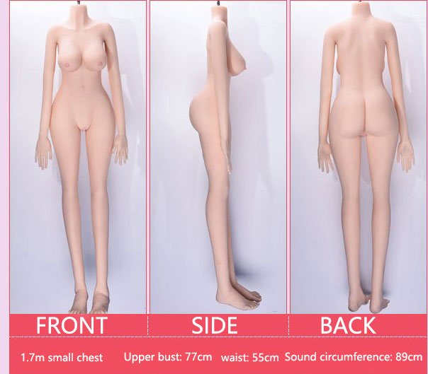 Customize Japanese 158cm 622inches Medium Breast Skinny Doll 体型图 61